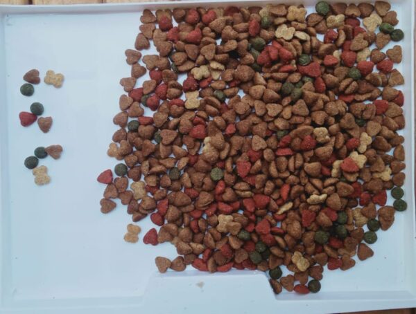 Dry food compy for cats 10 kg - Image 2