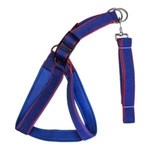 am pets dog leash with padded hand (red, m)