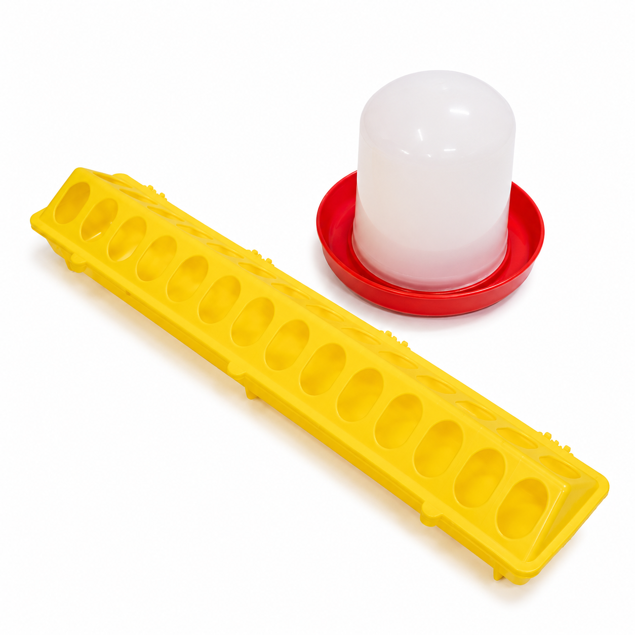 2026/02/1000124964.png 1000124964.png